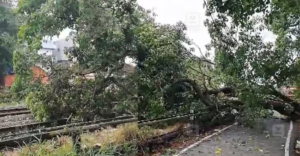 കൊച്ചിയിൽ റെയിൽപാളത്തിൽ വീണ മരം.