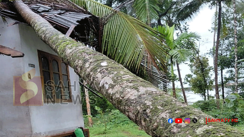 MAZHA KANNUR