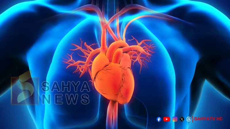 HEART
