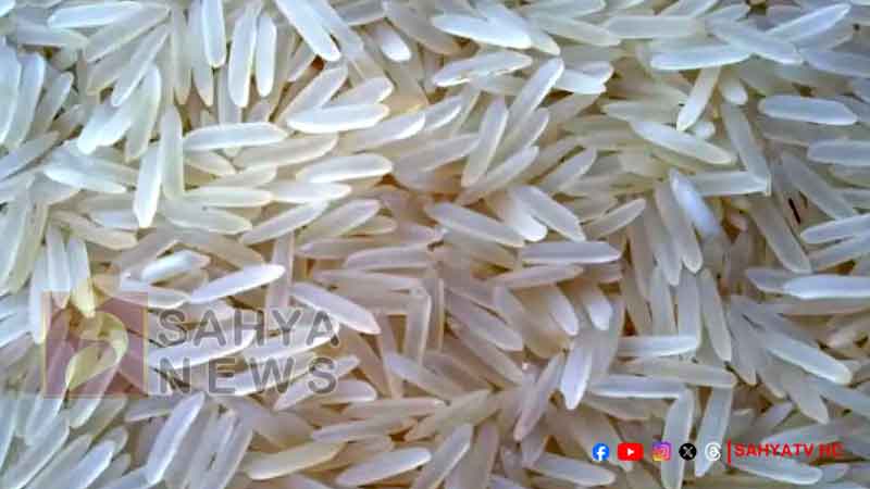 RATION RICE