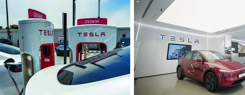 tesla sahya