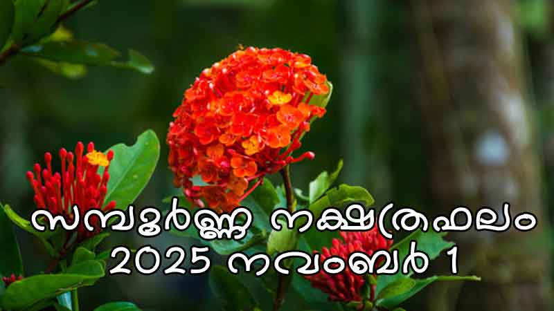 2025 നവംബര് 1 ശനി സമ്പൂർണ്ണ നക്ഷത്രഫലം 44 JATHAKAM