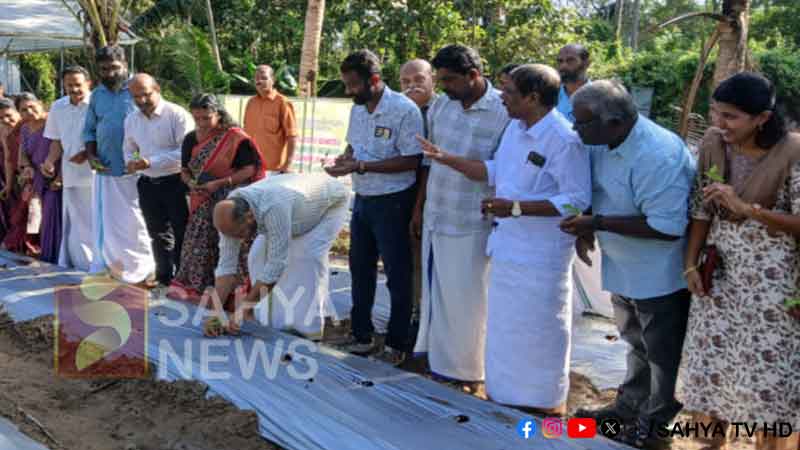 മന്ത്രി പി.രാജീവിൻ്റെ വൈക്കത്തെ വീട്ടുവളപ്പിൽ കൃഷി സമഗ്ര പച്ചക്കറി കൃഷി യജ്ഞത്തിനു തുടക്കമായി. 33 MINISTER RAJEEV