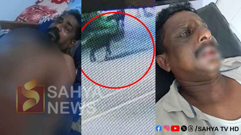 കൊല്ലത്ത് പോത്തിന്റെ ആക്രമണത്തില് മൂന്നുപേര്ക്ക് പരിക്ക് 31 POTH ATT