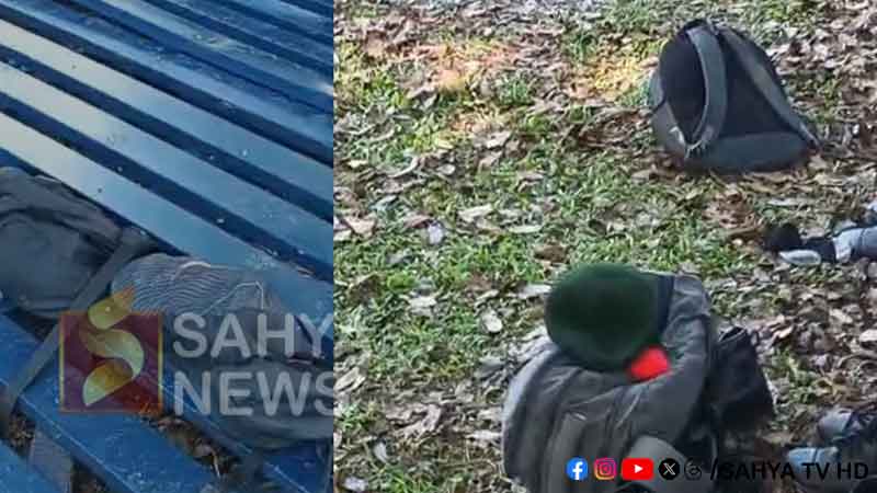 പാലായിൽ കോളേജിൽ താൽക്കാലിക ഗ്യാലറി തകർന്നുവീണു 31 pala st thomas