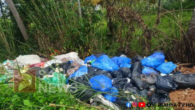 ഹോട്ടൽ മാലിന്യങ്ങൾ പ്ലാസ്റ്റിക് കൂടുകളിലാക്കി നിക്ഷേപിച്ചു 31 waste