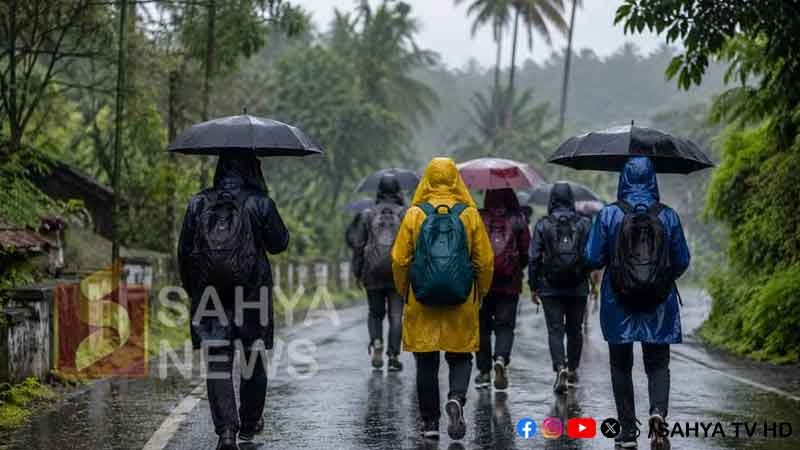 RAIN S
